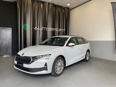 Skoda Octavia Station Wagon 2.0 tdi Executive 150cv dsg (3)