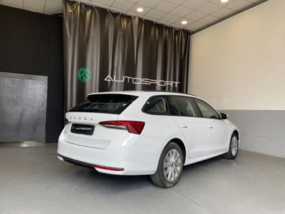 Skoda Octavia Station Wagon 2.0 tdi Executive 150cv dsg (7)