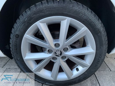 Skoda Fabia 1.4 TDI 75 CV Ambition (14)