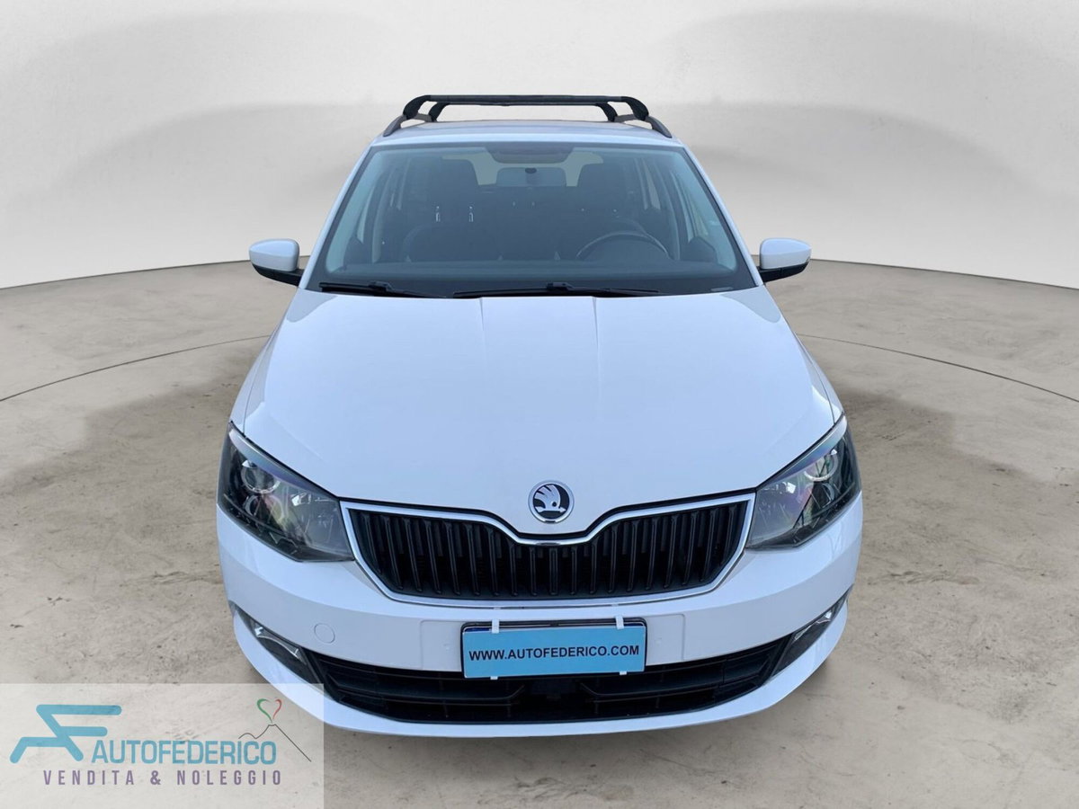Skoda Fabia 1.4 TDI 75 CV Ambition (2)