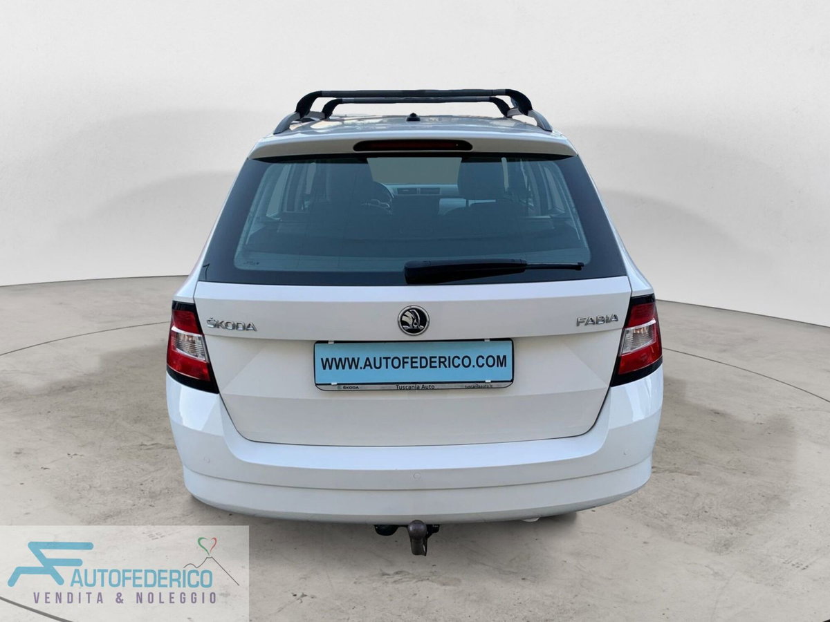 Skoda Fabia 1.4 TDI 75 CV Ambition (5)