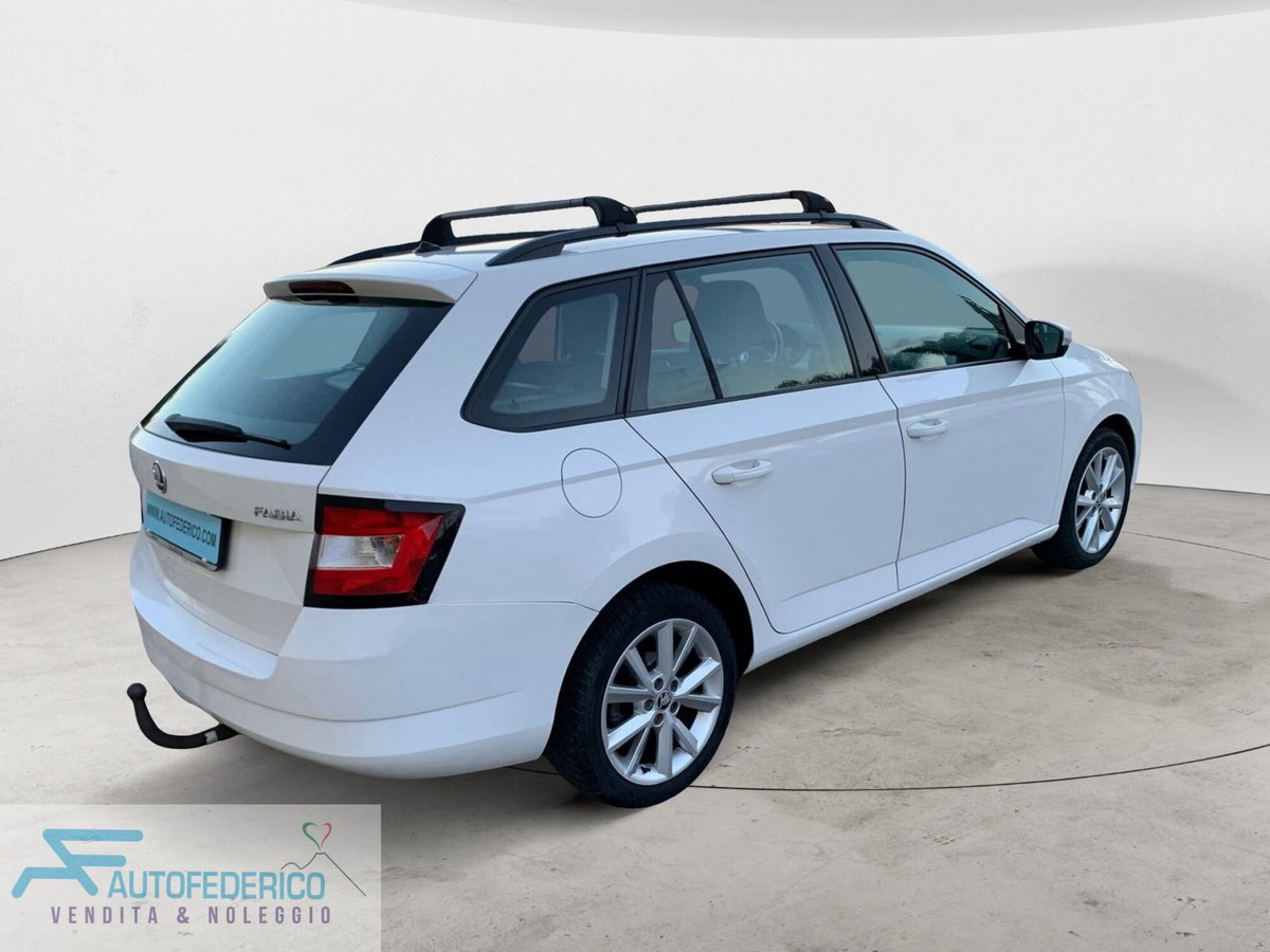 Skoda Fabia 1.4 TDI 75 CV Ambition (6)