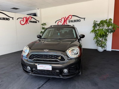 MINI Mini Countryman 1.5 Cooper SE Hype Countryman ALL4 Automatica (3)