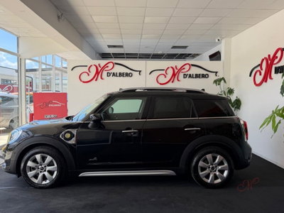 MINI Mini Countryman 1.5 Cooper SE Hype Countryman ALL4 Automatica (4)