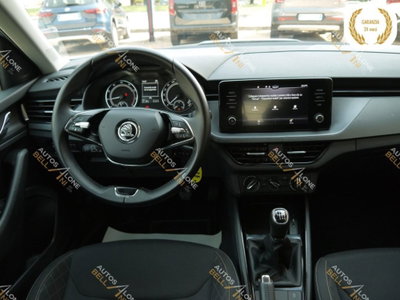 Skoda Kamiq 1.0 TSI 110 CV DSG Ambition (12)