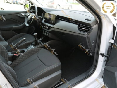Skoda Kamiq 1.0 TSI 110 CV DSG Ambition (13)