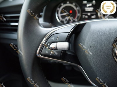 Skoda Kamiq 1.0 TSI 110 CV DSG Ambition (17)