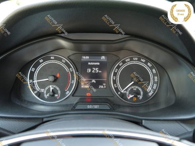 Skoda Kamiq 1.0 TSI 110 CV DSG Ambition (20)