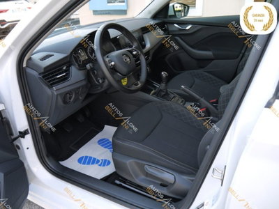 Skoda Kamiq 1.0 TSI 110 CV DSG Ambition (8)