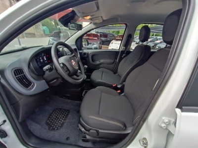 Fiat Panda 1.0 firefly hybrid Icon s&s 70cv (10)