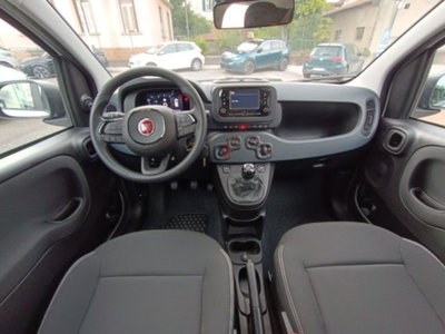 Fiat Panda 1.0 firefly hybrid Icon s&s 70cv (11)