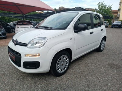 Fiat Panda 1.0 firefly hybrid Icon s&s 70cv (3)