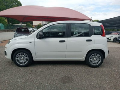 Fiat Panda 1.0 firefly hybrid Icon s&s 70cv (4)