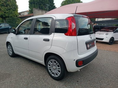 Fiat Panda 1.0 firefly hybrid Icon s&s 70cv (5)