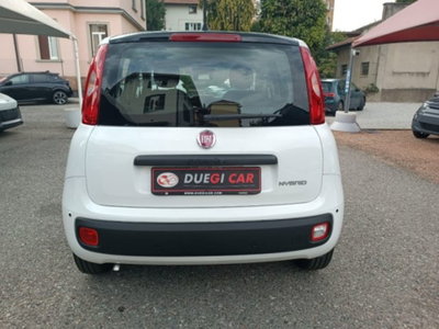 Fiat Panda 1.0 firefly hybrid Icon s&s 70cv (6)