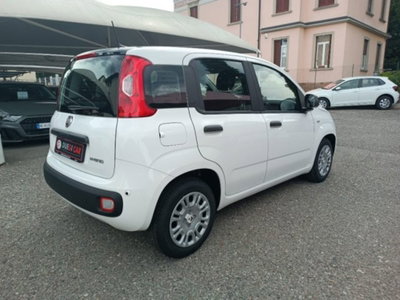 Fiat Panda 1.0 firefly hybrid Icon s&s 70cv (7)