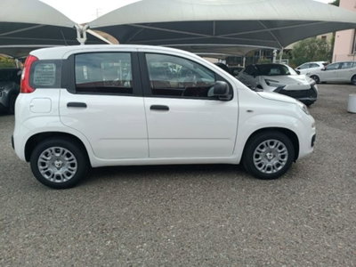 Fiat Panda 1.0 firefly hybrid Icon s&s 70cv (8)