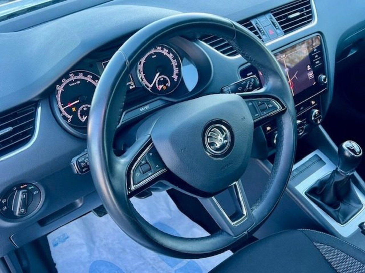 Skoda Octavia Station Wagon 1.6 TDI CR 115 CV Wagon Executive (18)