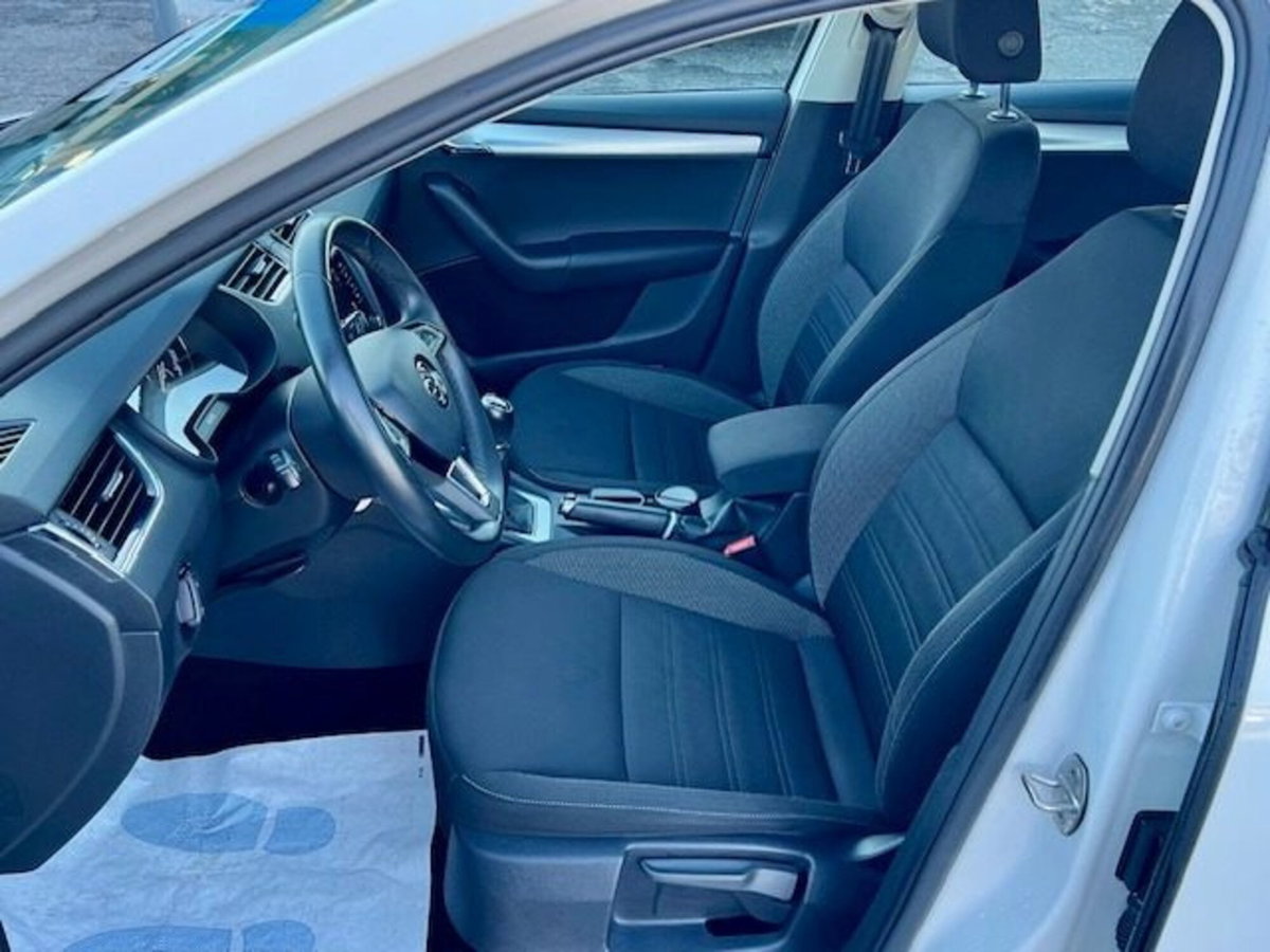 Skoda Octavia Station Wagon 1.6 TDI CR 115 CV Wagon Executive (8)