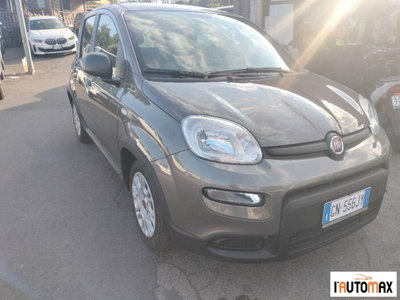 Fiat Panda 1.0 firefly hybrid s&s 70cv 5p.ti (3)
