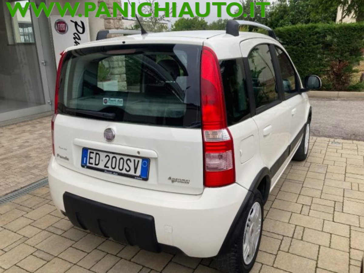 Fiat Panda 1.2 Climbing Natural Power (6)