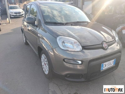 Fiat Panda 1.0 firefly hybrid s&s 70cv 5p.ti (3)