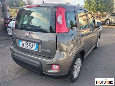 Fiat Panda 1.0 firefly hybrid s&s 70cv 5p.ti (4)