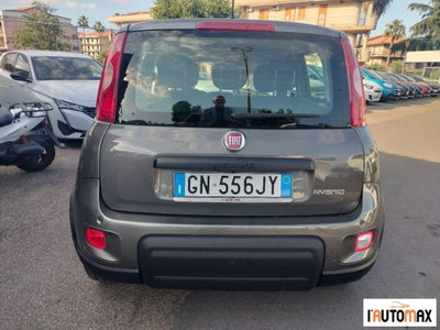Fiat Panda 1.0 firefly hybrid s&s 70cv 5p.ti (5)
