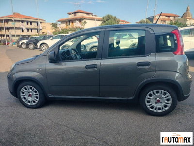 Fiat Panda 1.0 firefly hybrid s&s 70cv 5p.ti (7)