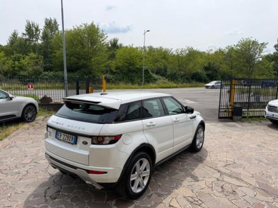 Land Rover Range Rover Evoque 2.2 TD4 5p. Pure (5)