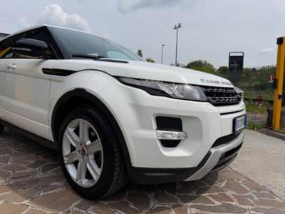 Land Rover Range Rover Evoque 2.2 TD4 5p. Pure (6)