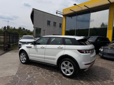 Land Rover Range Rover Evoque 2.2 TD4 5p. Pure (8)