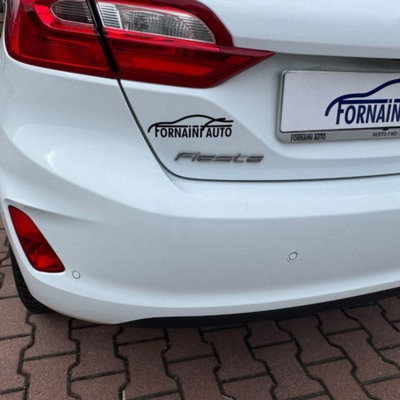 Ford Fiesta 1.5 TDCi 85 CV 3 porte  Business (19)