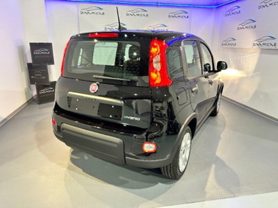 Fiat Pandina 1.0 firefly hybrid Icon s&s 65cv nuova