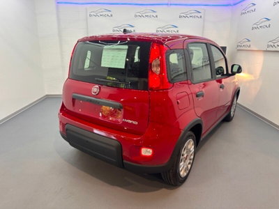 Fiat Pandina 1.0 firefly hybrid Icon s&s 65cv nuova
