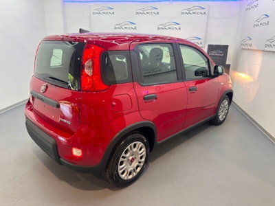 Fiat Pandina 1.0 firefly hybrid Icon s&s 65cv (2)