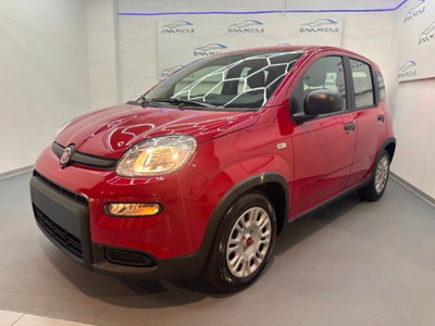 Fiat Pandina 1.0 firefly hybrid Icon s&s 65cv (5)