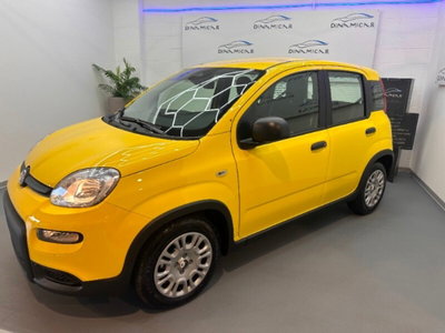 Fiat Pandina 1.0 firefly hybrid Pop s&s 65cv (5)