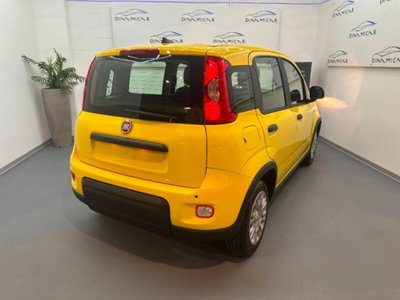 Fiat Pandina 1.0 firefly hybrid Pop s&s 65cv nuova