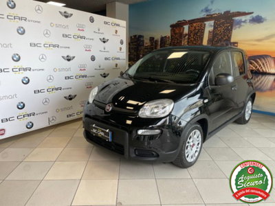 Fiat Panda 1.0 firefly hybrid s&s 70cv usata