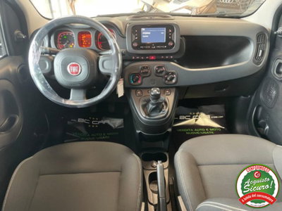 Fiat Panda 1.0 firefly hybrid s&s 70cv (10)