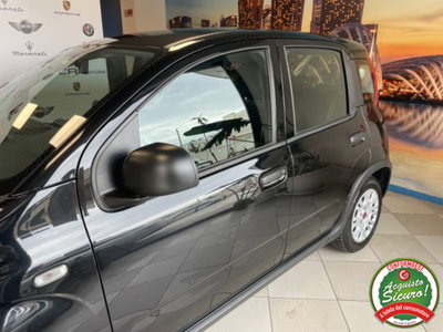 Fiat Panda 1.0 firefly hybrid s&s 70cv (18)