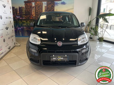 Fiat Panda 1.0 firefly hybrid s&s 70cv (2)
