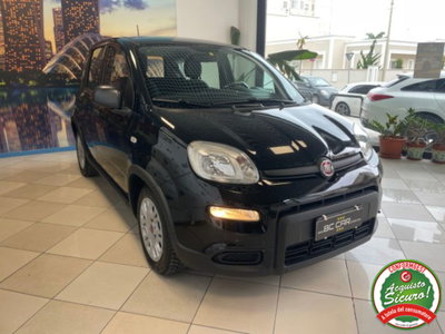 Fiat Panda 1.0 firefly hybrid s&s 70cv (20)