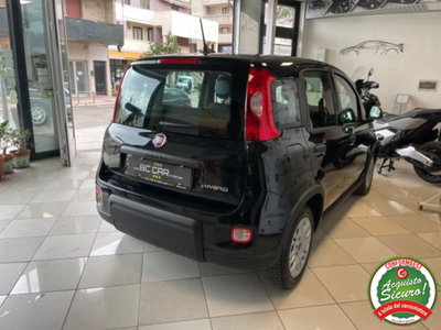 Fiat Panda 1.0 firefly hybrid s&s 70cv (4)