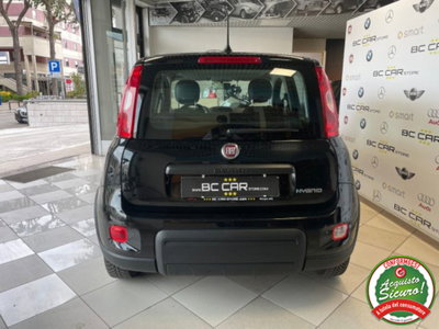 Fiat Panda 1.0 firefly hybrid s&s 70cv (5)