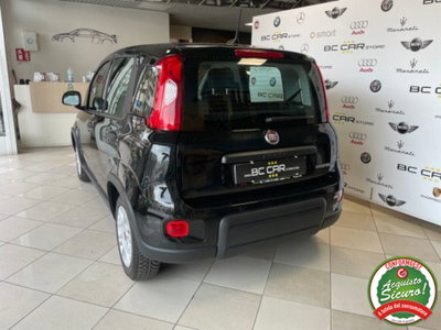 Fiat Panda 1.0 firefly hybrid s&s 70cv (6)