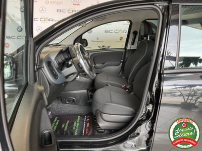 Fiat Panda 1.0 firefly hybrid s&s 70cv (7)