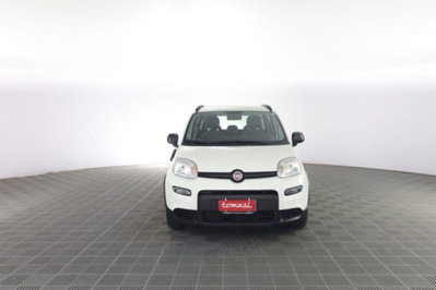 Fiat Panda 1.0 FireFly S&S Hybrid City Cross usata