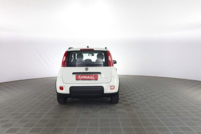 Fiat Panda 1.0 FireFly S&S Hybrid City Cross (5)